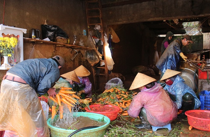 Phát triển chuỗi liên kết sản xuất, chế biến và tiêu thụ nông sản Đà Lạt - Lâm Đồng là điều kiện sống còn của người nông dân (Ảnh: VH) 