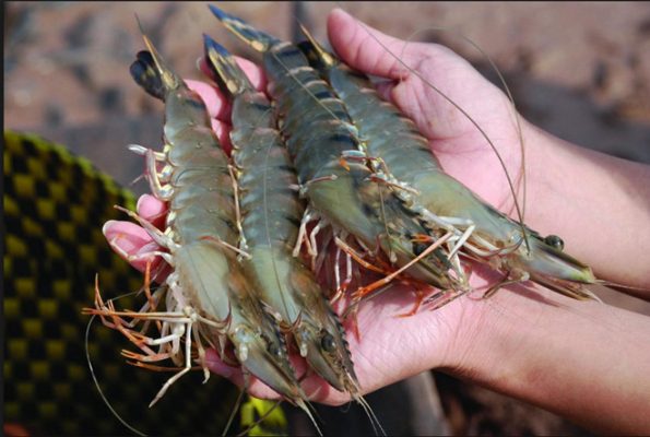 Bộ Công Thương lo ngại 4 lý do khiến xuất khẩu Việt Nam gặp khó